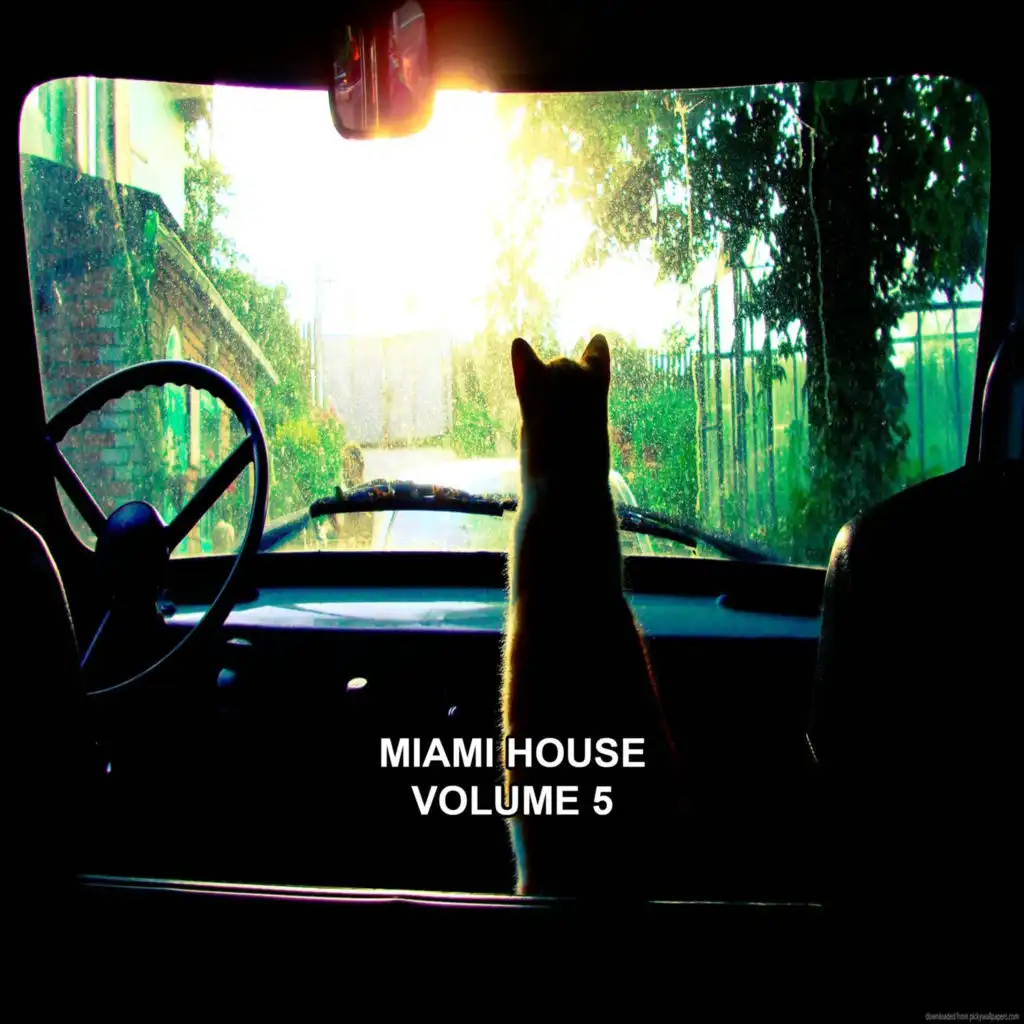 Miami House, Vol. 5