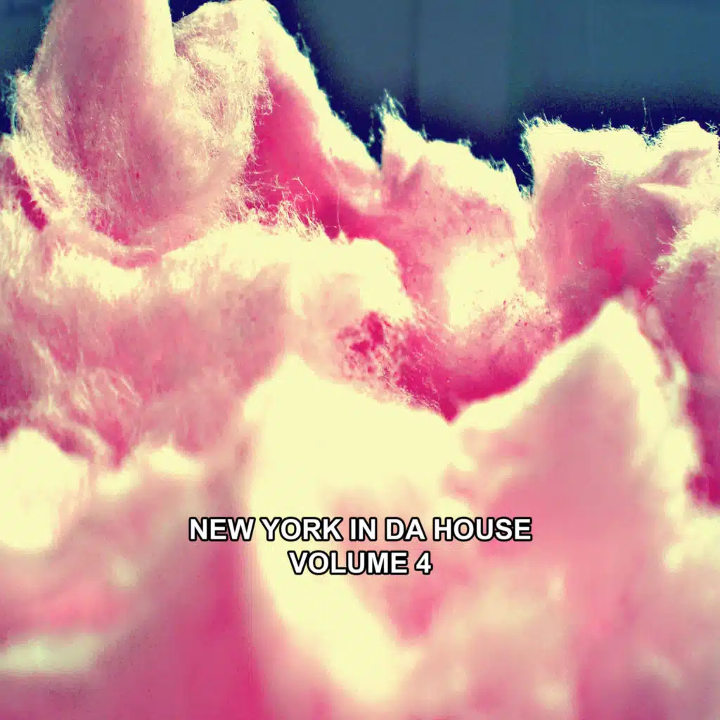 New York in Da House, Vol. 4