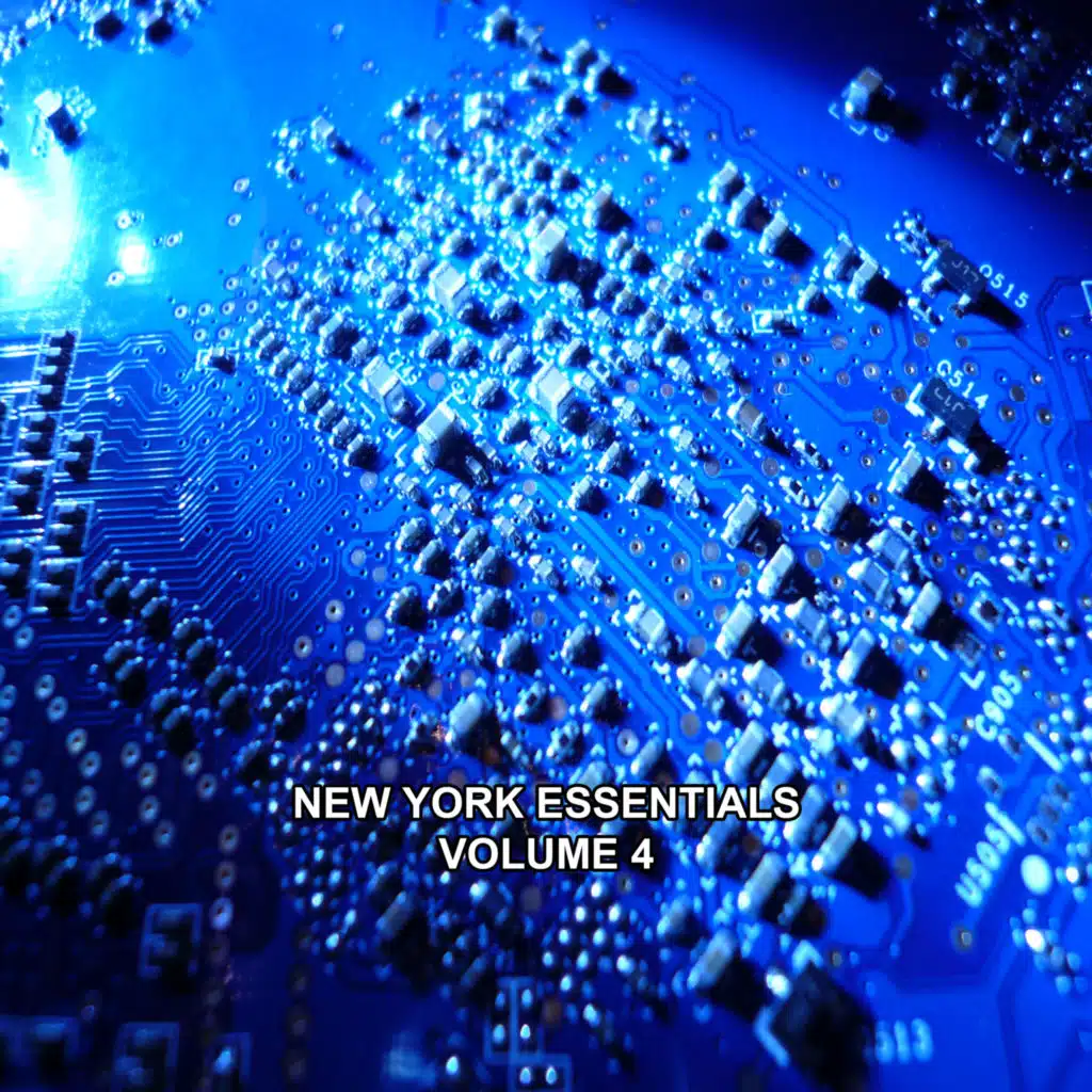 New York Essentials, Vol. 4