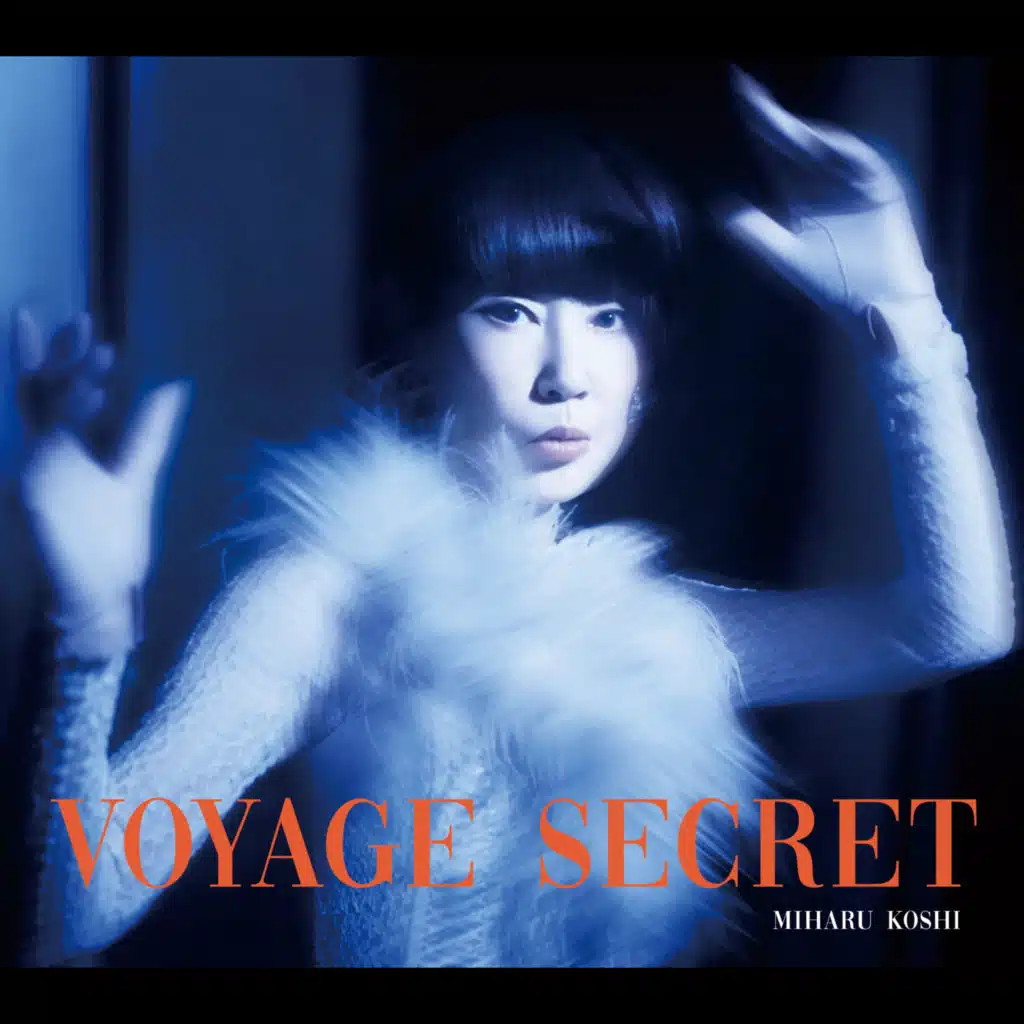 Voyage Secret