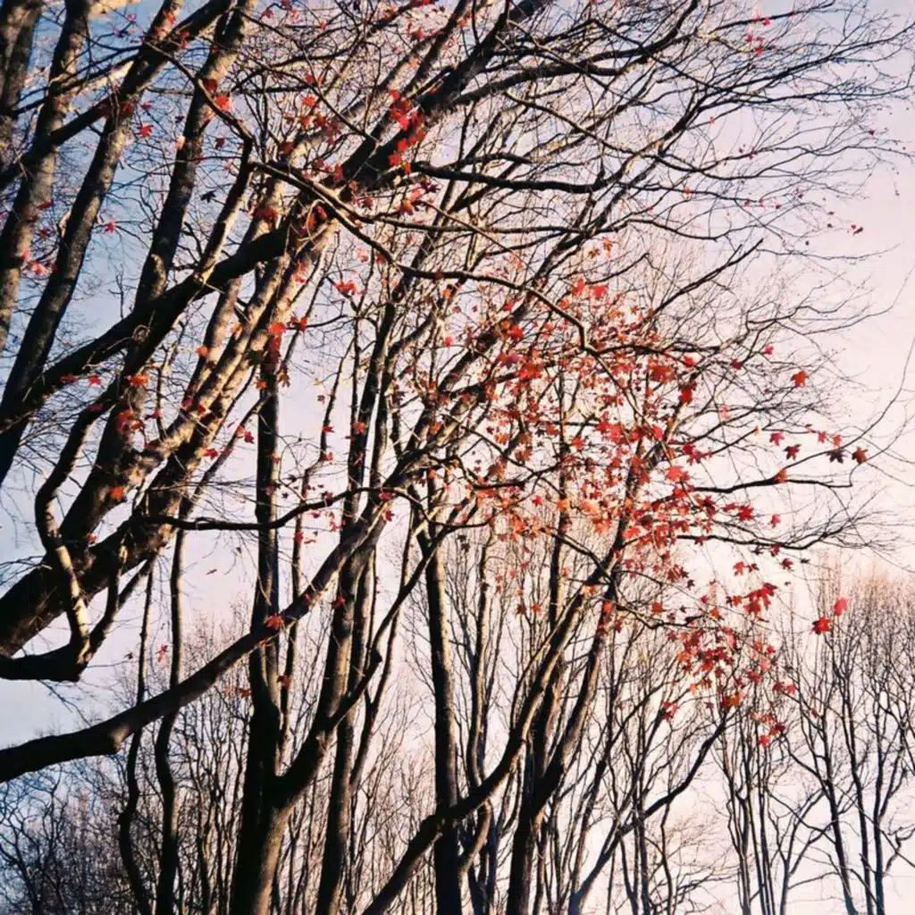 Hokkaido (feat. Holly)