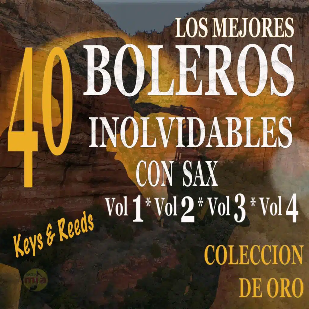 Los Mejores 40 Boleros Inolvidables Con Sax: Vol. 1, Vol. 2, Vol. 3, Vol. 4 (Coleccion de Oro)