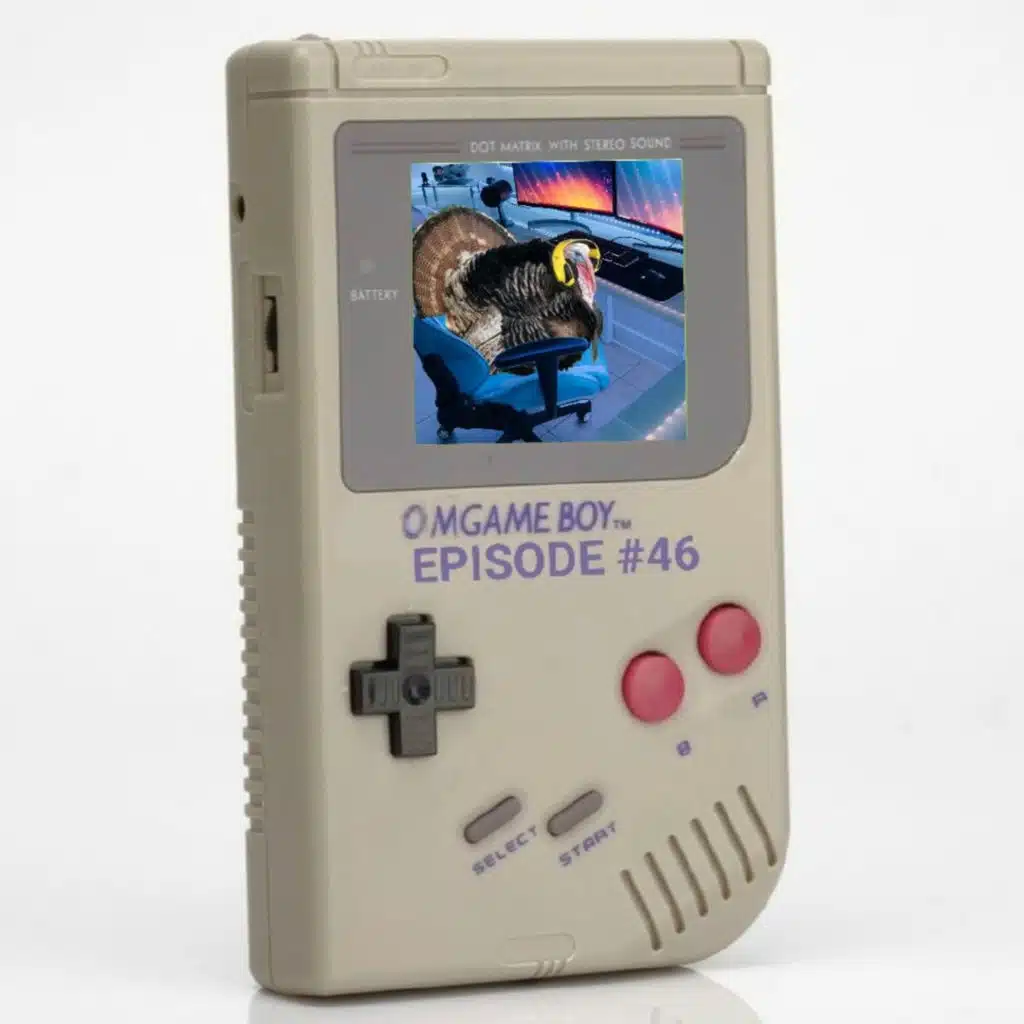 OMGame Boy #46 "Birds of Play"