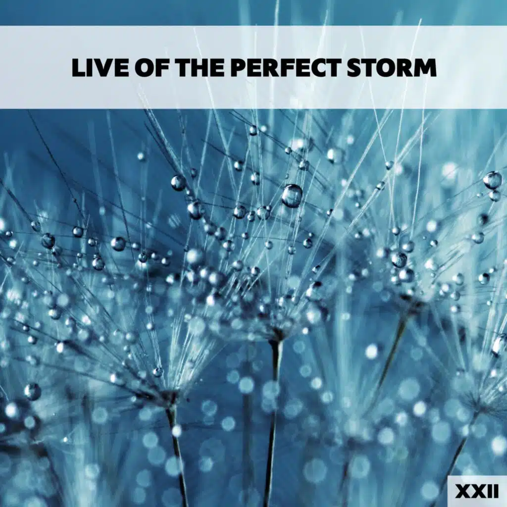 Live Of The Perfect Storm XXII