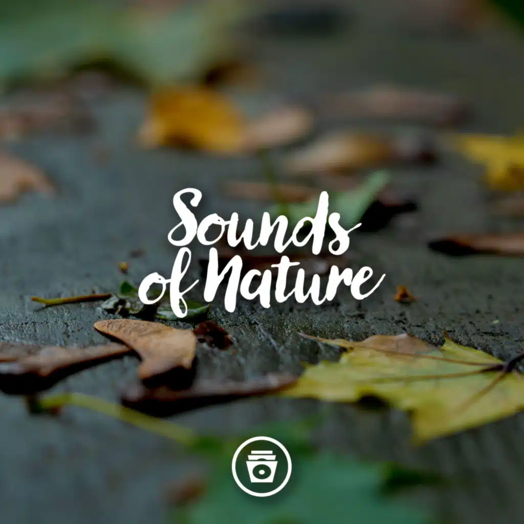 Nature Sounds & Sounds For Life
