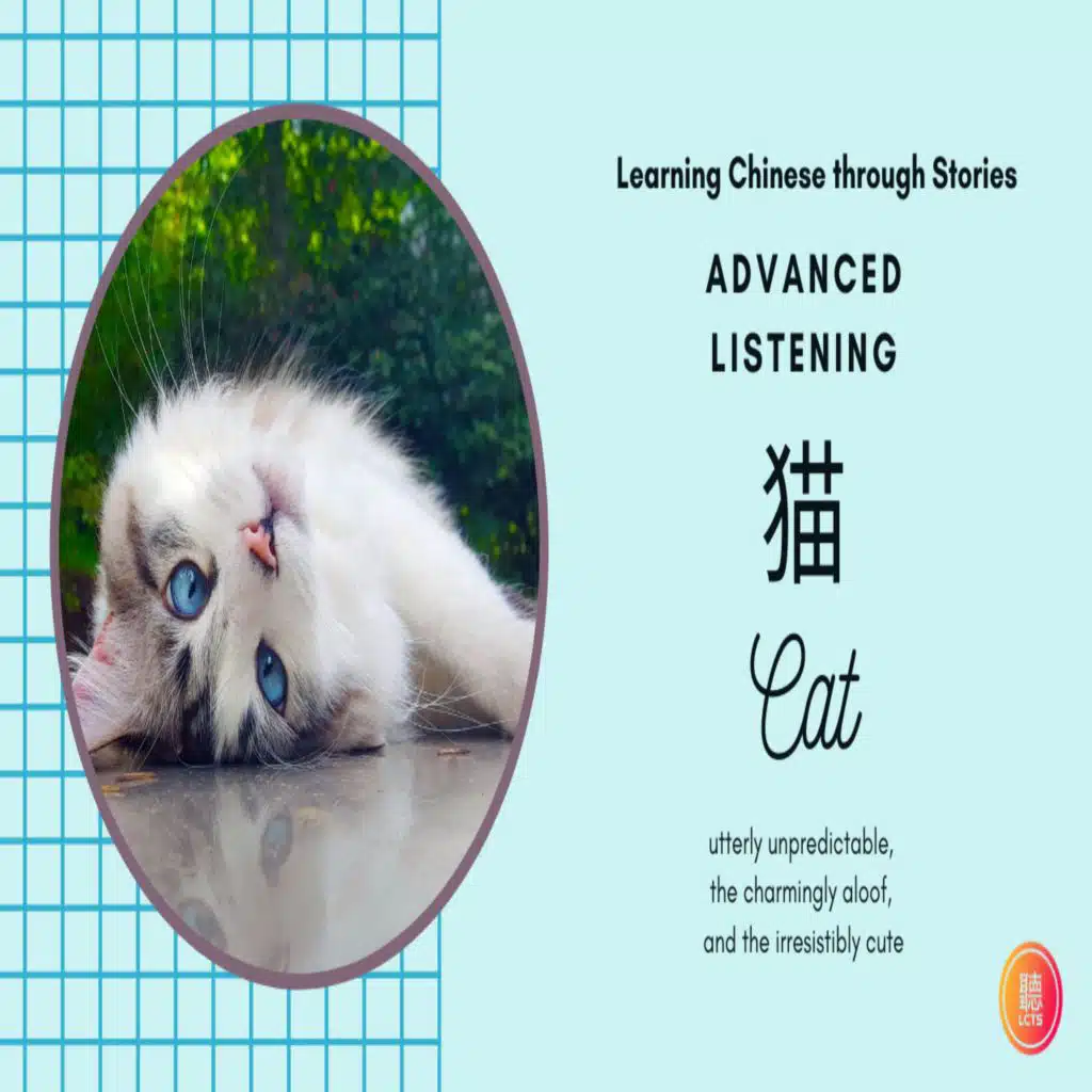 3.3.24B《猫》Story Walkthrough