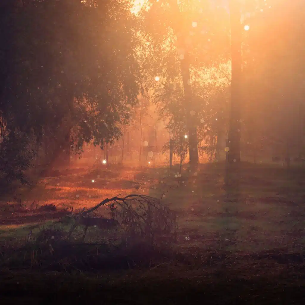 تلاوة رائعة العراقية