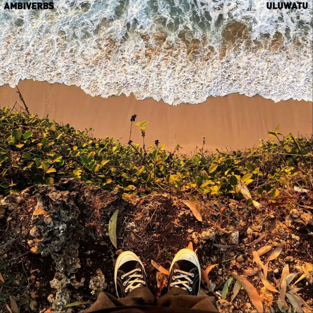 Ambiverbs