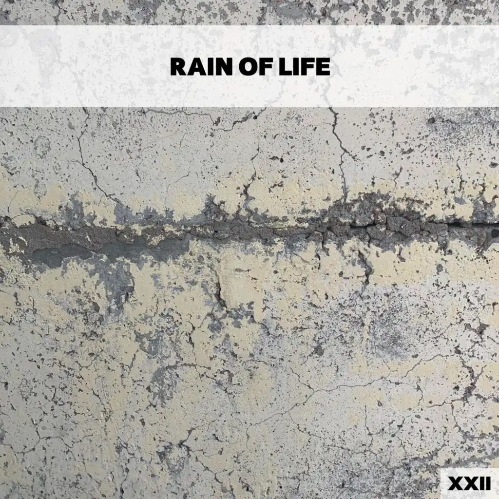 Rain Of Life XXII