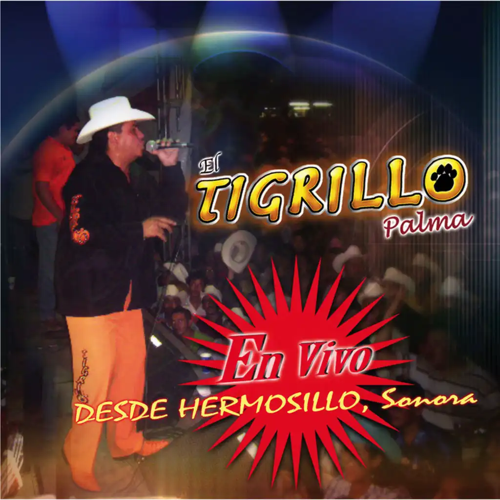 El Frijolito (Live)