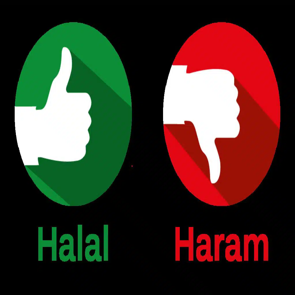 (Preview) Bonus Episode 52- Hussein Kesvani on Muslim guilt