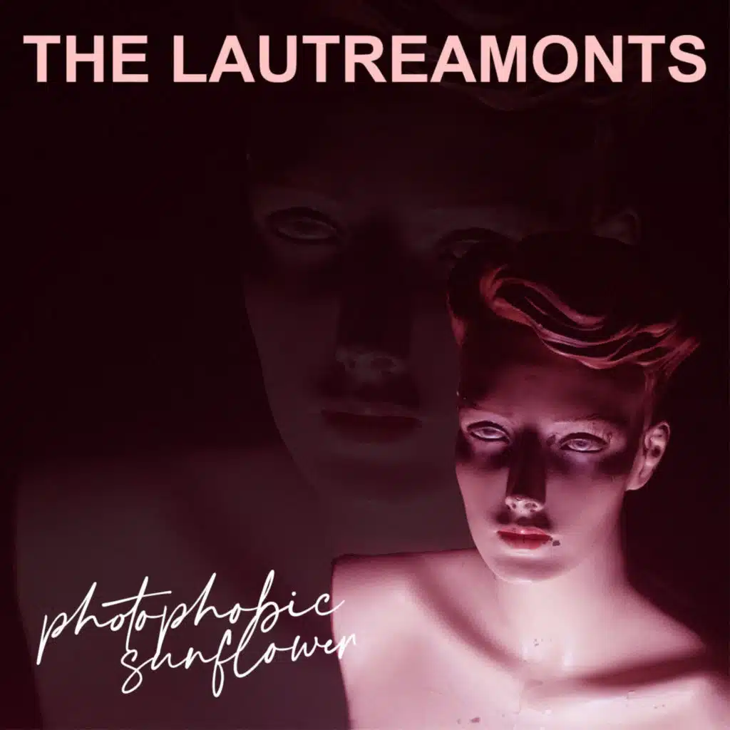 Photophobic Sunflower