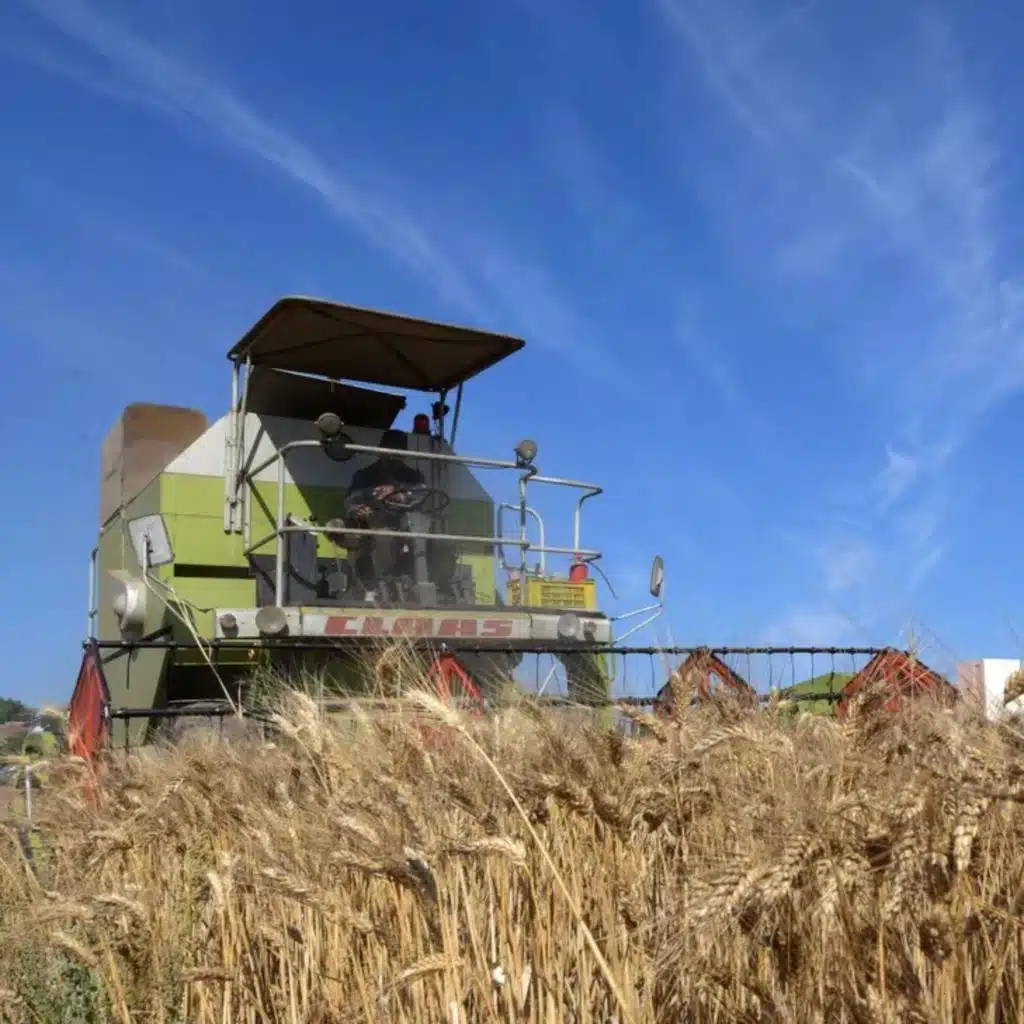 (Preview) Bonus Episode 130 - Wheat is important w/ Max Ajl