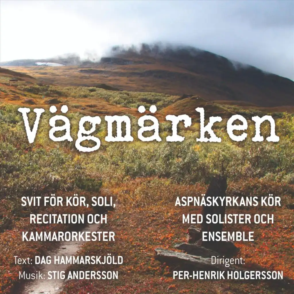 Vidare (feat. Stig Andersson, Dag Hammarskjöld & Per-Henrik Holgersson)