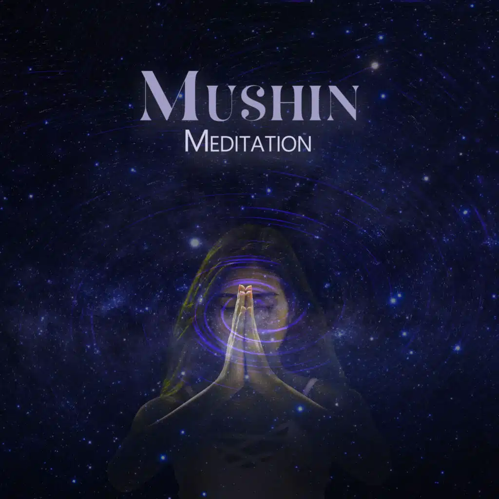 Mushin Meditation