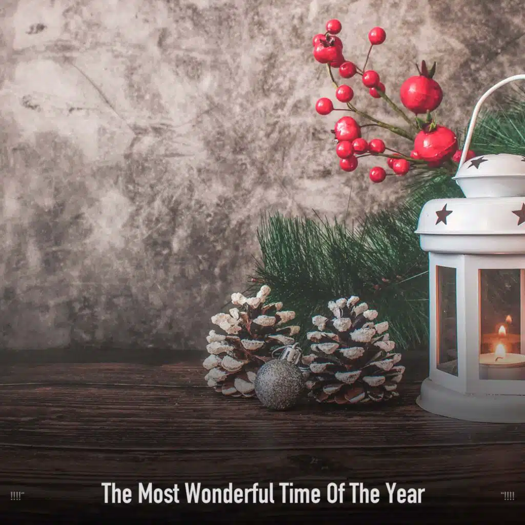 !!!!" The Most Wonderful Time Of The Year "!!!!