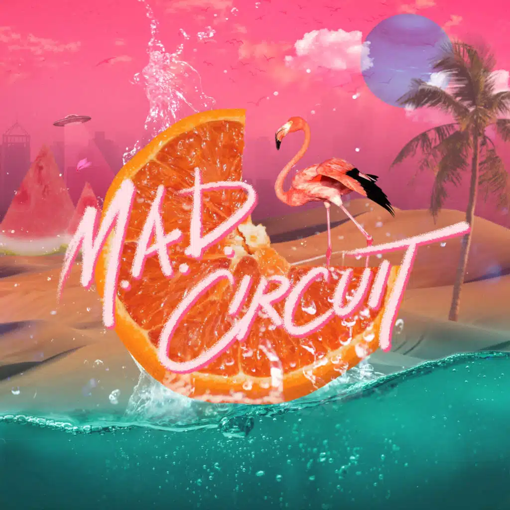 Mad Circuit & LG (Team Genius)