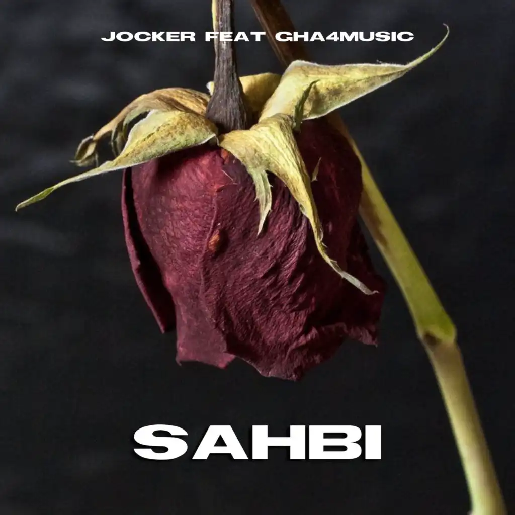 Sahbi (feat. Gha4music)