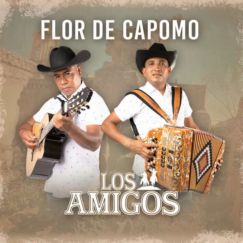 Flor De Capomo