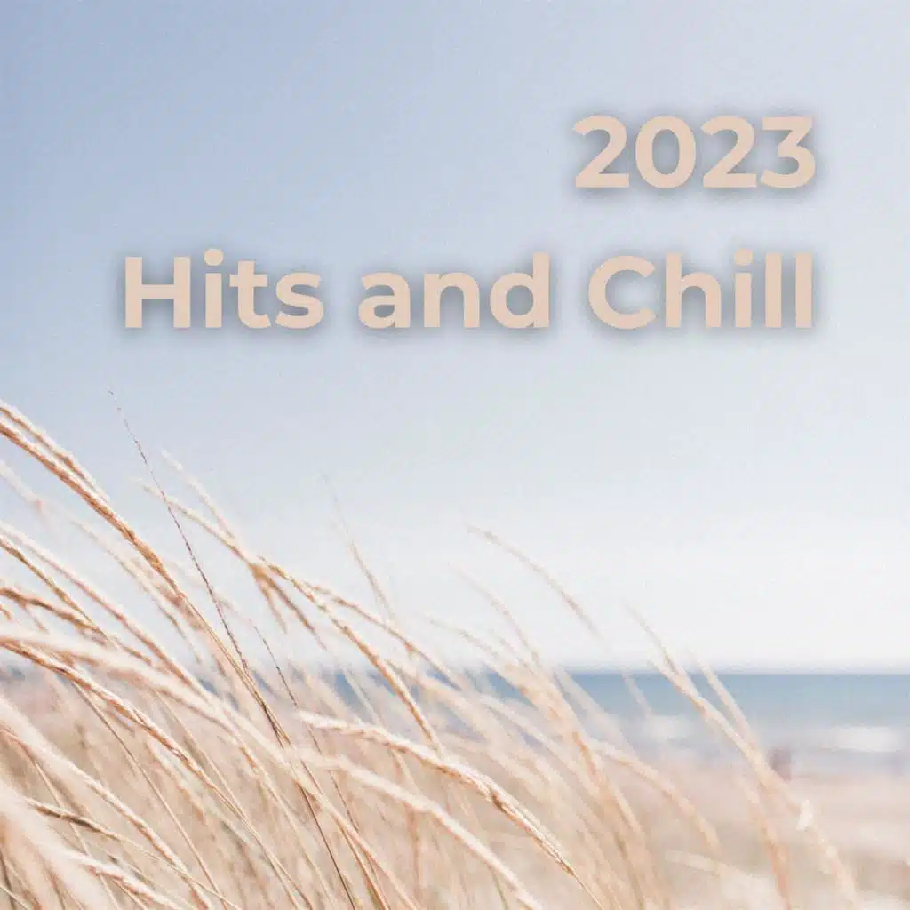 2023 Hits and Chill