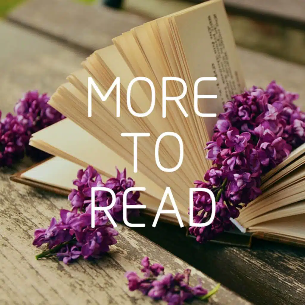 美文阅读 |   挑山工 The Mountain Porters (冯骥才)