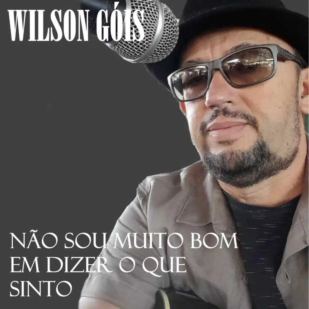 Não Sou Muito Bom em Dizer o Que Sinto