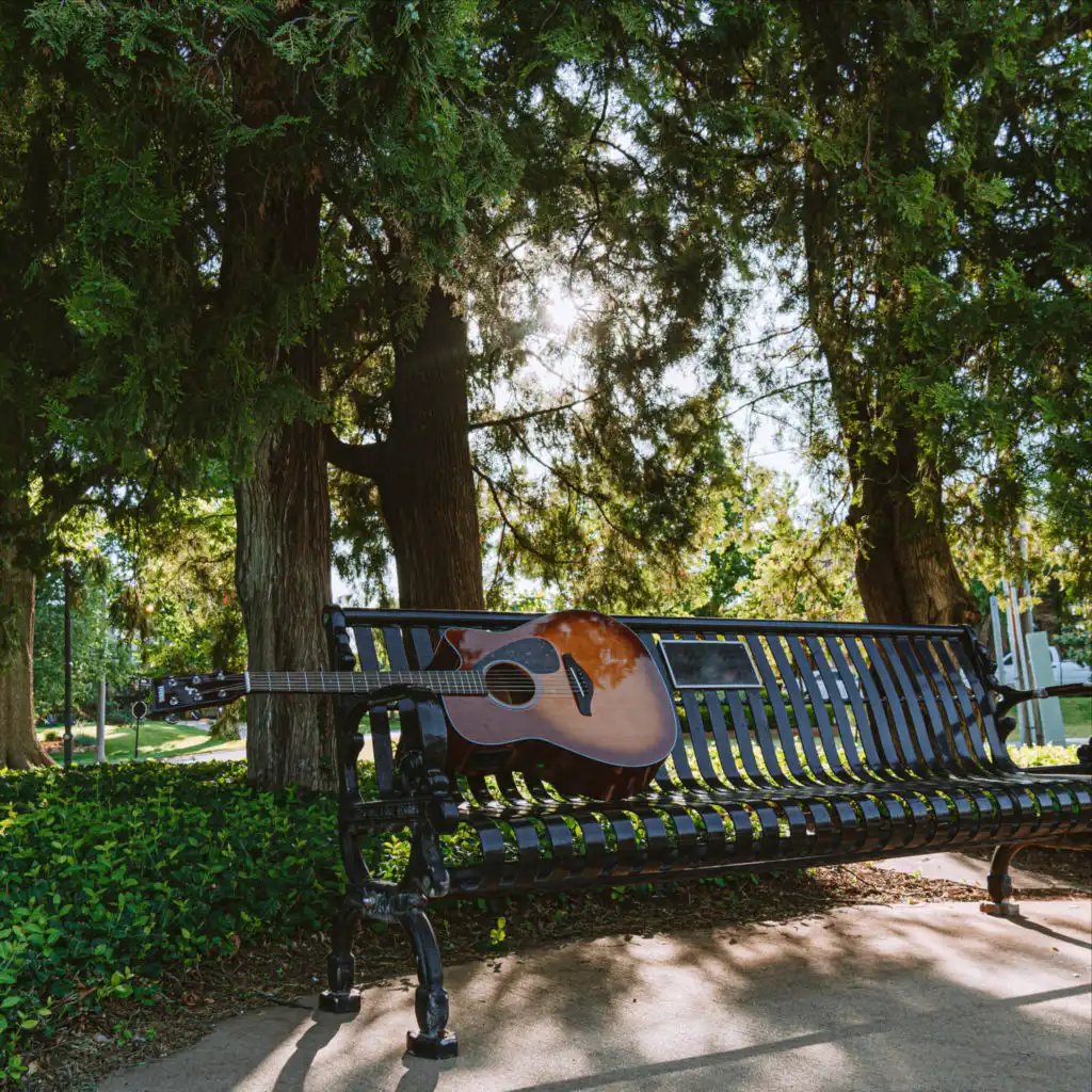 Backyard Acoustics