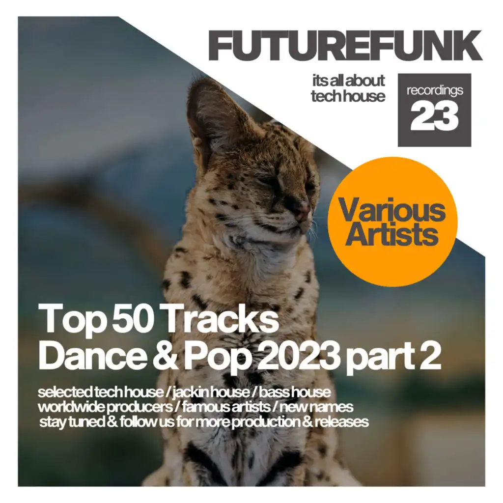 Top 50 Tracks Dance & Pop 2023 part 2