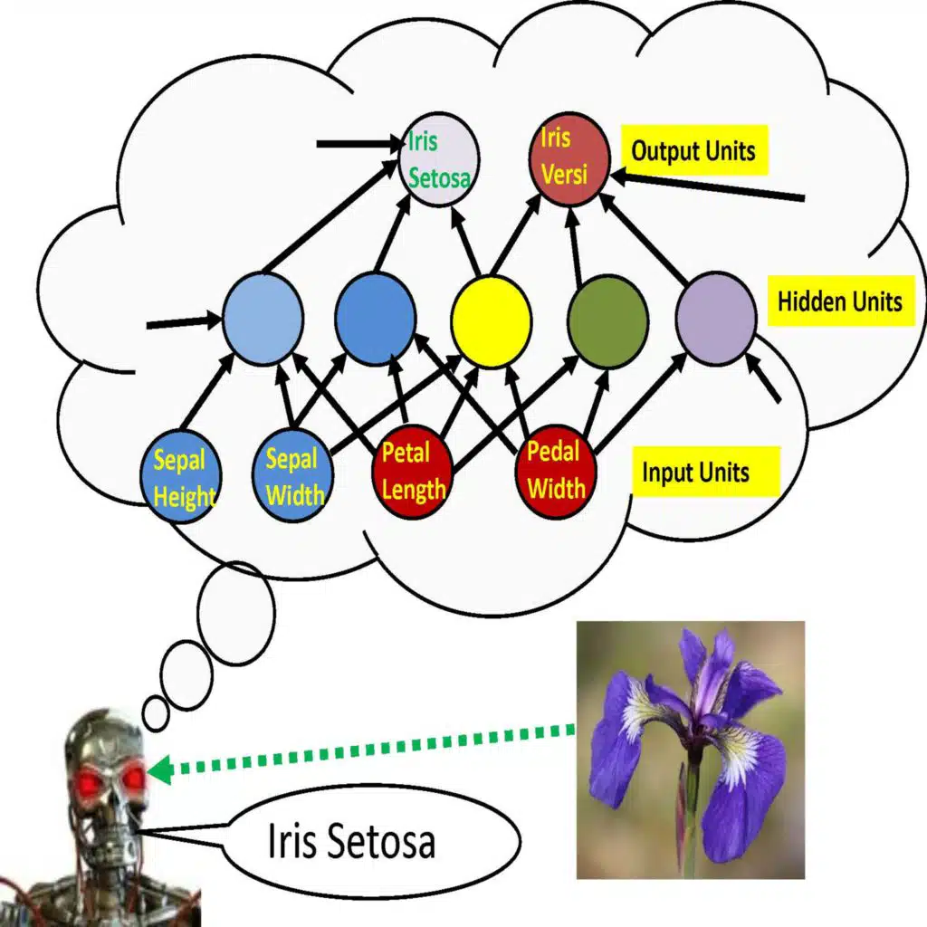LM101-051: How to Use Radial Basis Function Perceptron Software for Supervised Learning[Rerun]