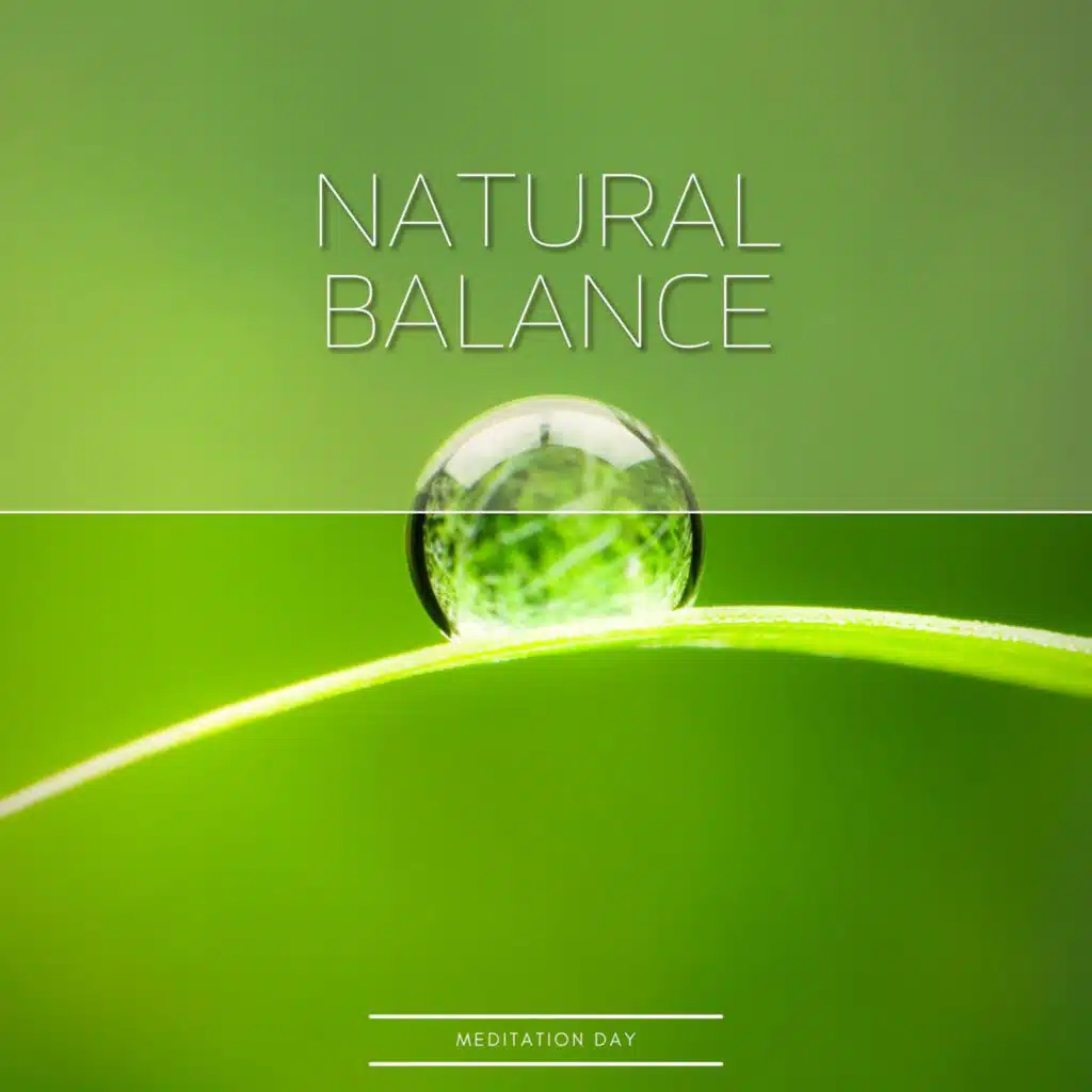 Natural Balance (Night)