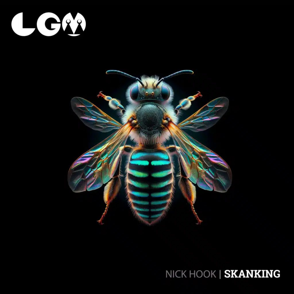 Skanking (Nick Hook Now Mix)