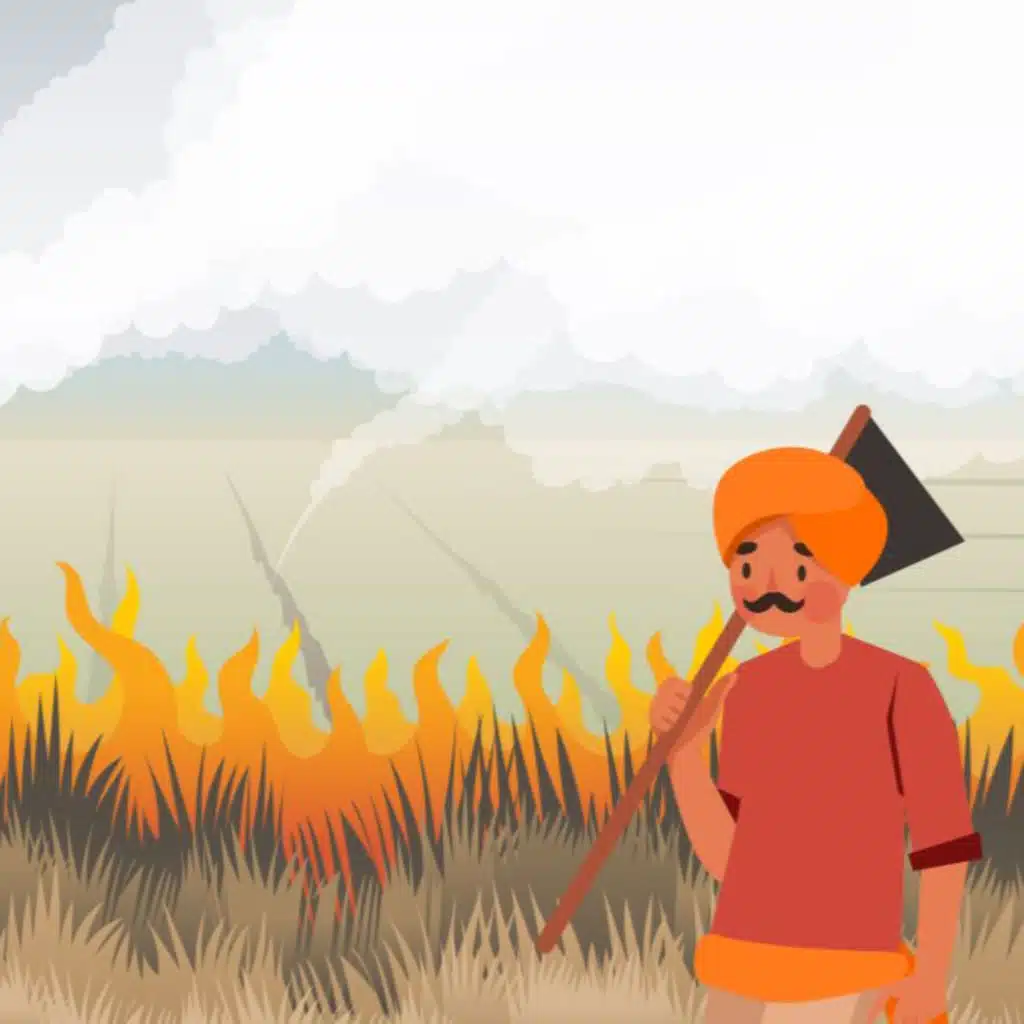 A beginner's guide to stubble burning