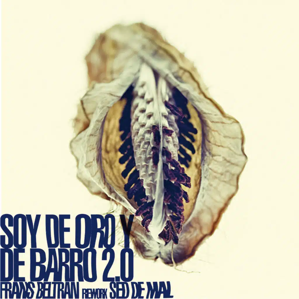Soy de Oro y de Barro 2.0 (Instrumental)