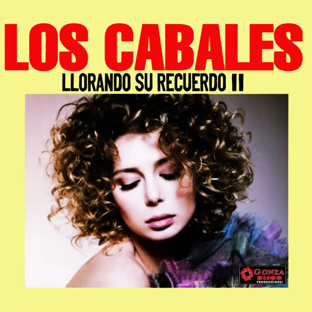 Llorando Tu Recuerdo