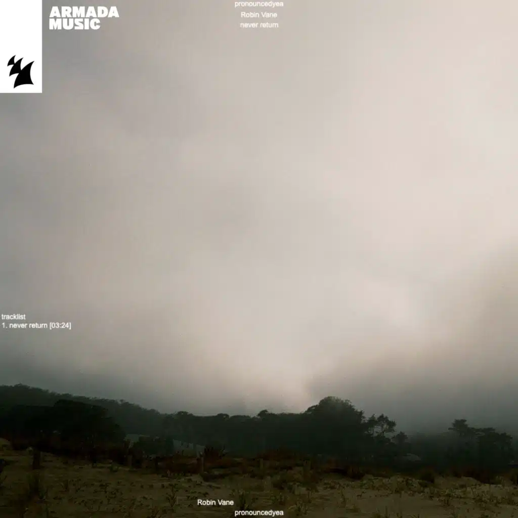 Never Return (feat. Robin Vane)