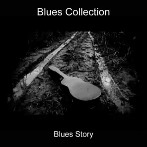 Blues Collection 126 Hits (Blues Story)
