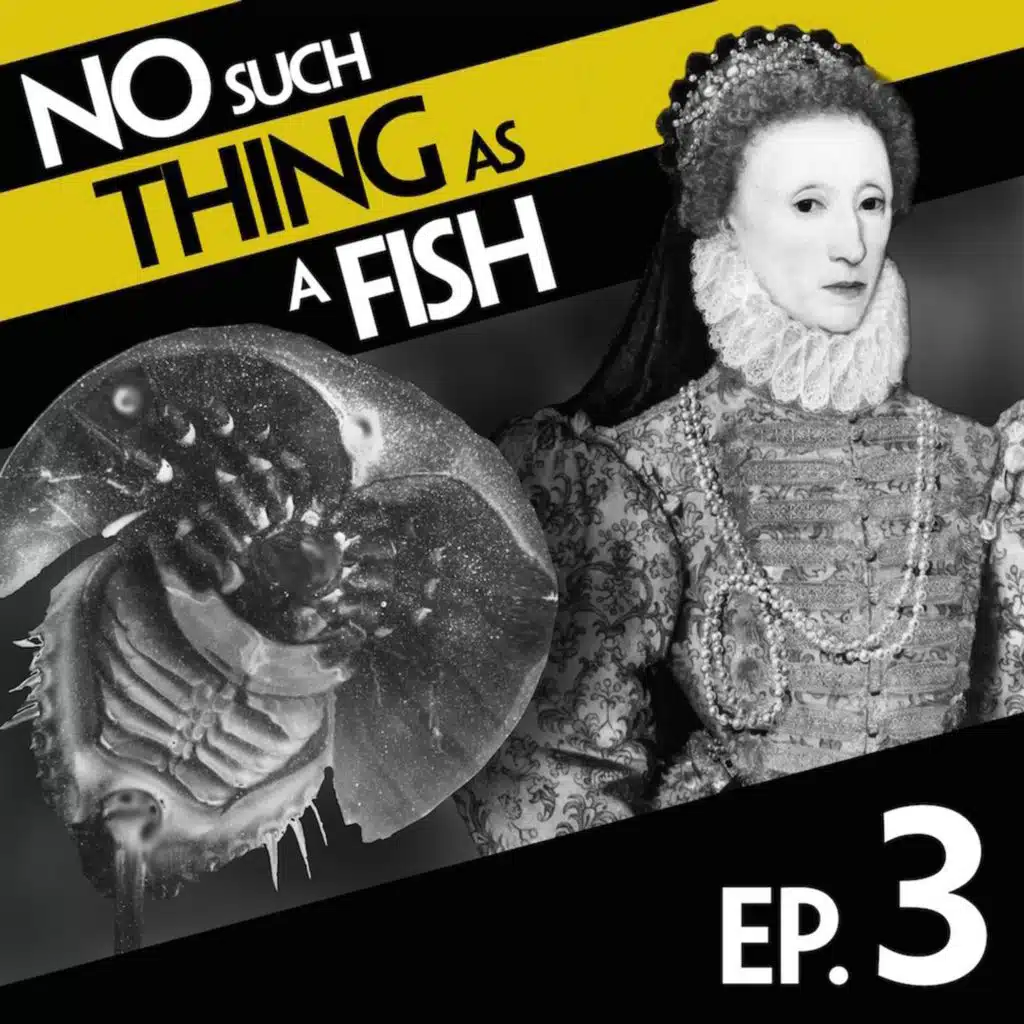 No Such Thing As The Middle Ages