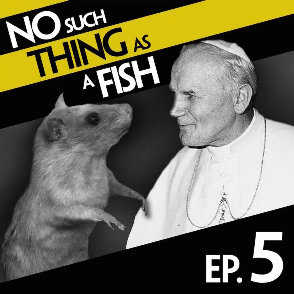 No Such Thing As A Kiss