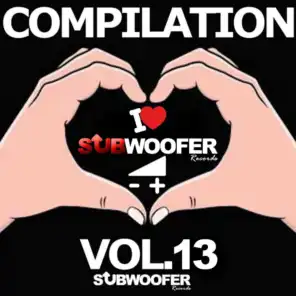 I Love Subwoofer Records Techno Compilation, Vol. 13 (Subwoofer Record)