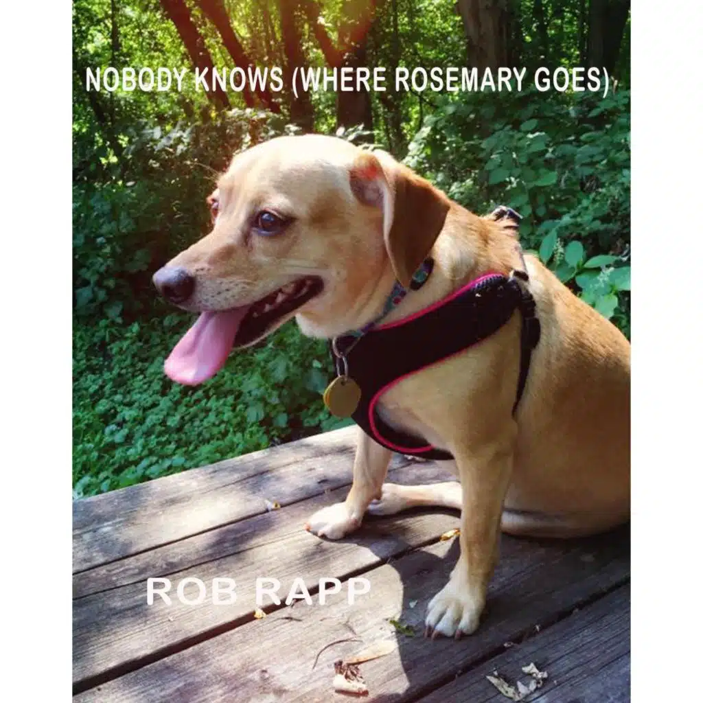 Nobody Knows (Where Rosemary Goes)
