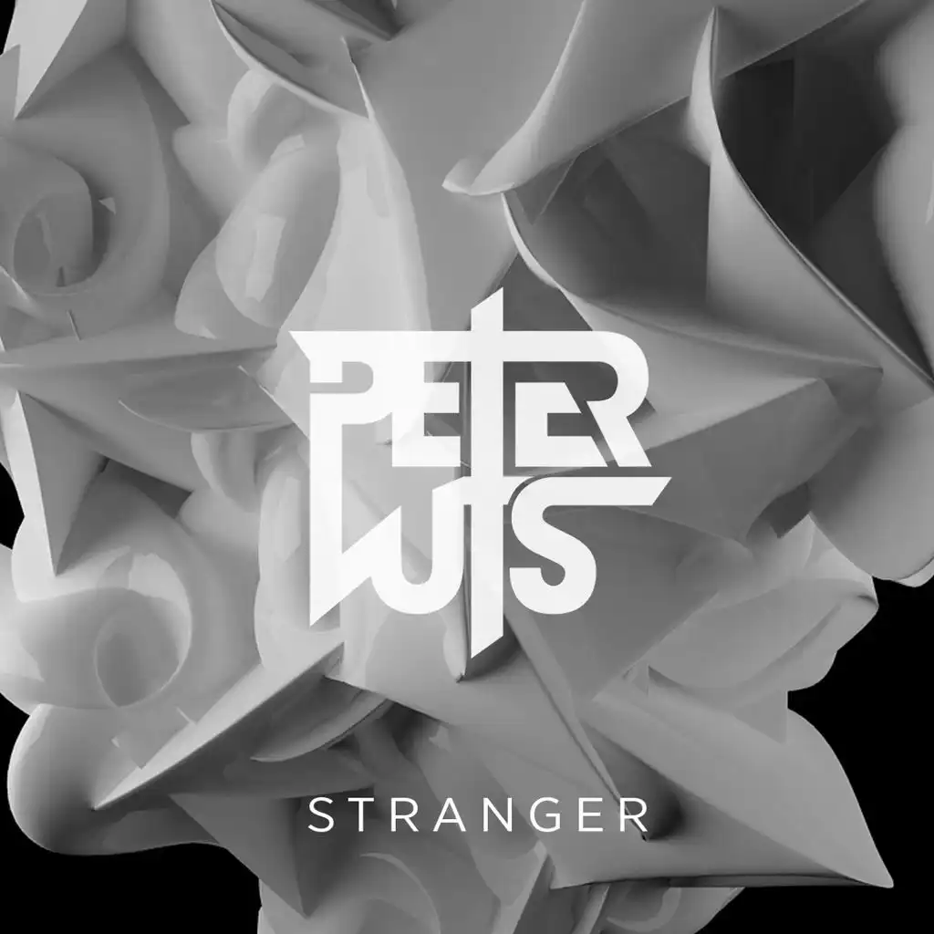 Stranger (Dizkodude Remix)