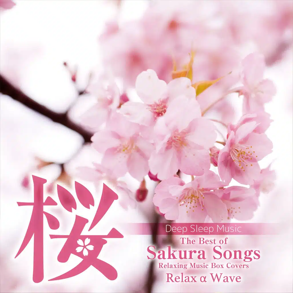 Sakura No Shiori (Originally Performed By AKB48)