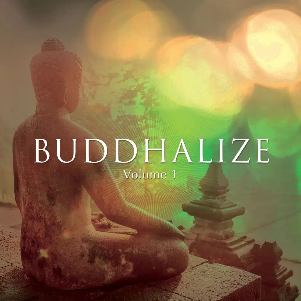 Buddhalize, Vol. 1 (Finest Relaxation Moods)