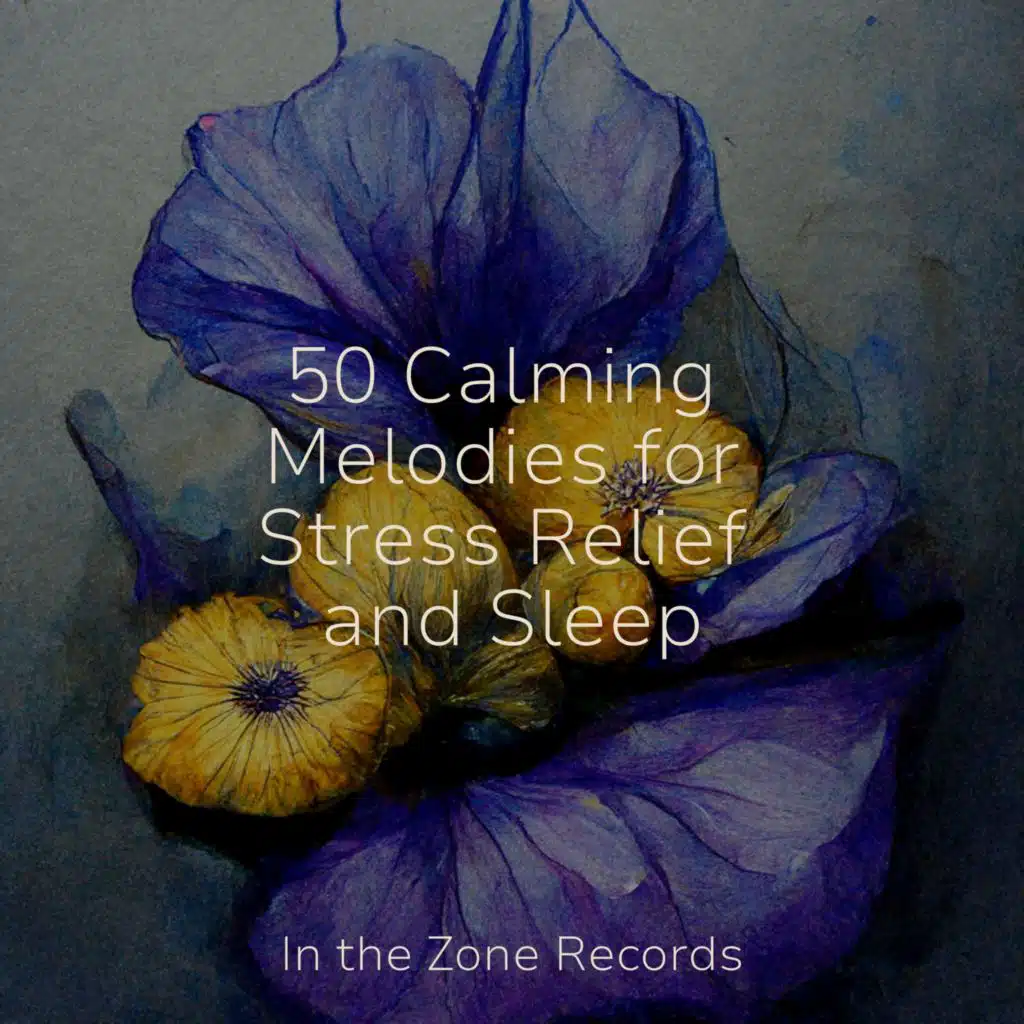 50 Calming Melodies for Stress Relief and Sleep