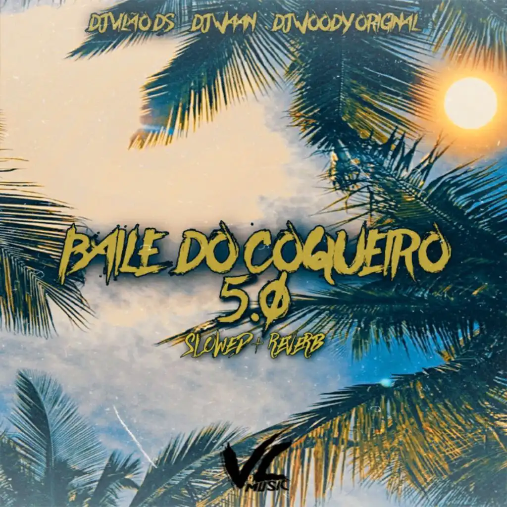 Baile do Coqueiro 5. 0 [Slowed Reverb]