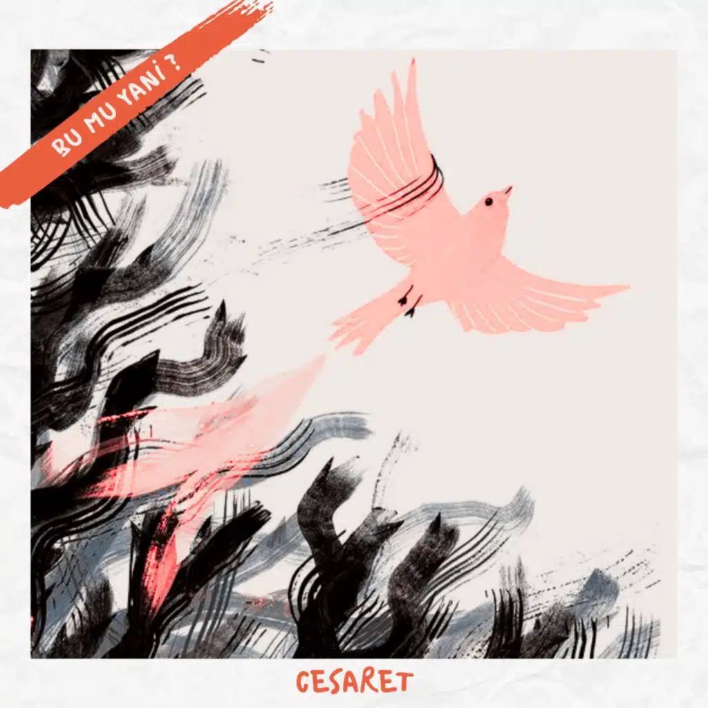 152 | Cesaretsizce Olmuyor