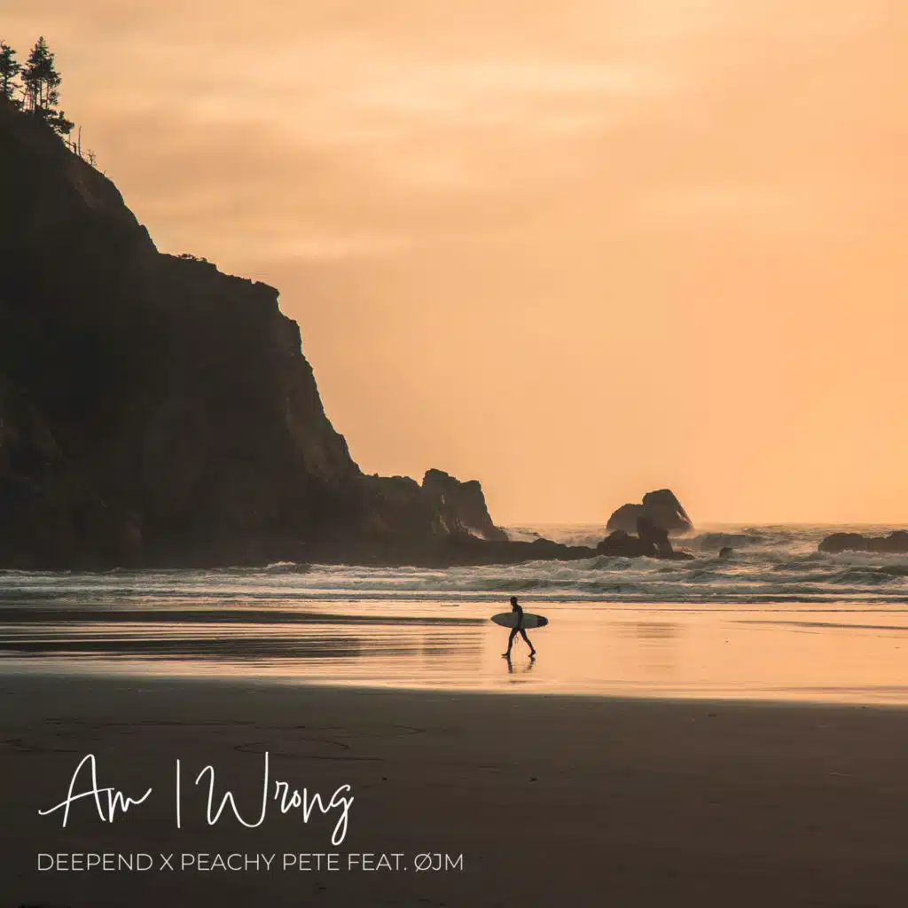 Am I Wrong (feat. ØJM)
