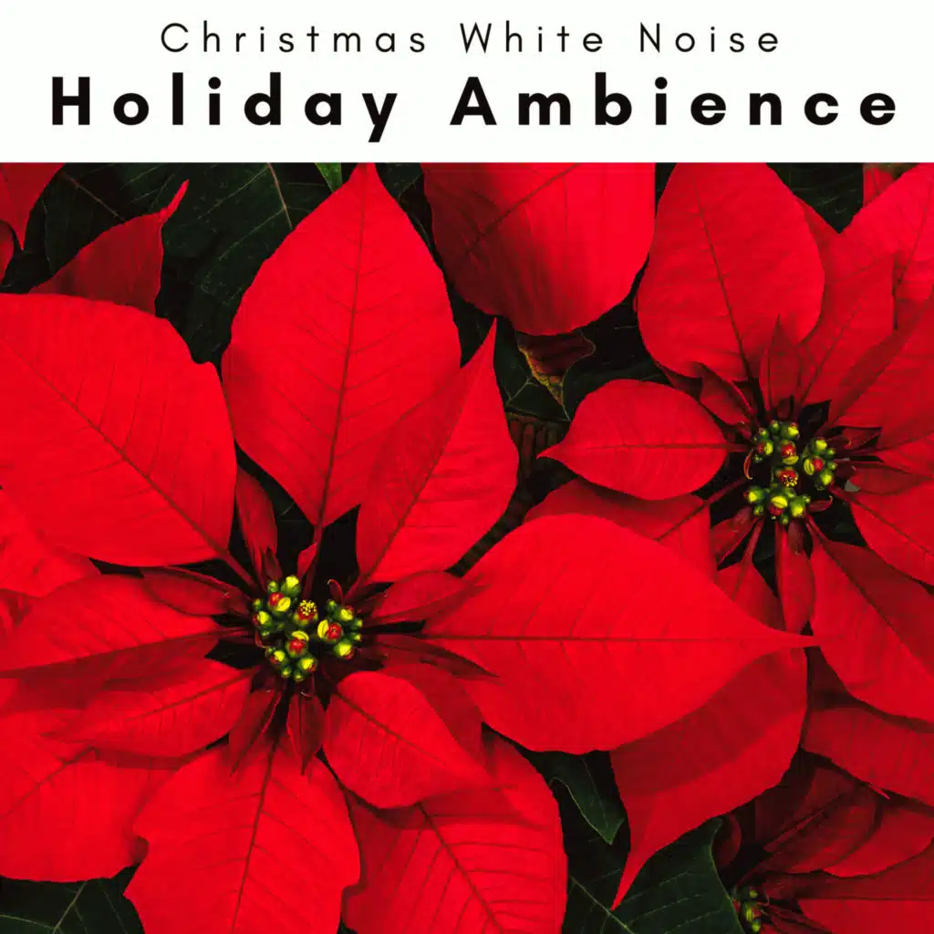 Christmas White Noise