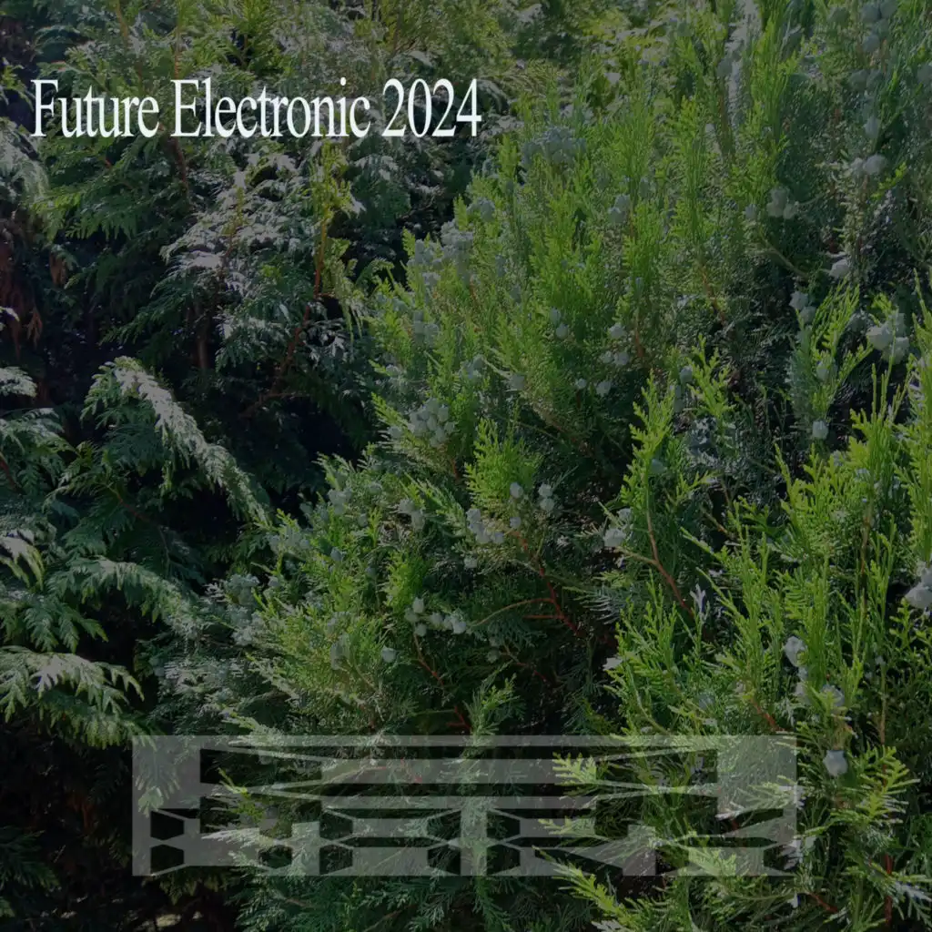 Future Electronic 2024