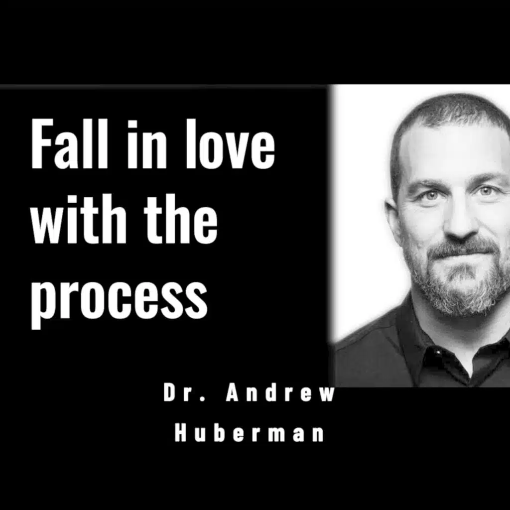 Andrew Huberman: Optimize Dopamine for Motivation